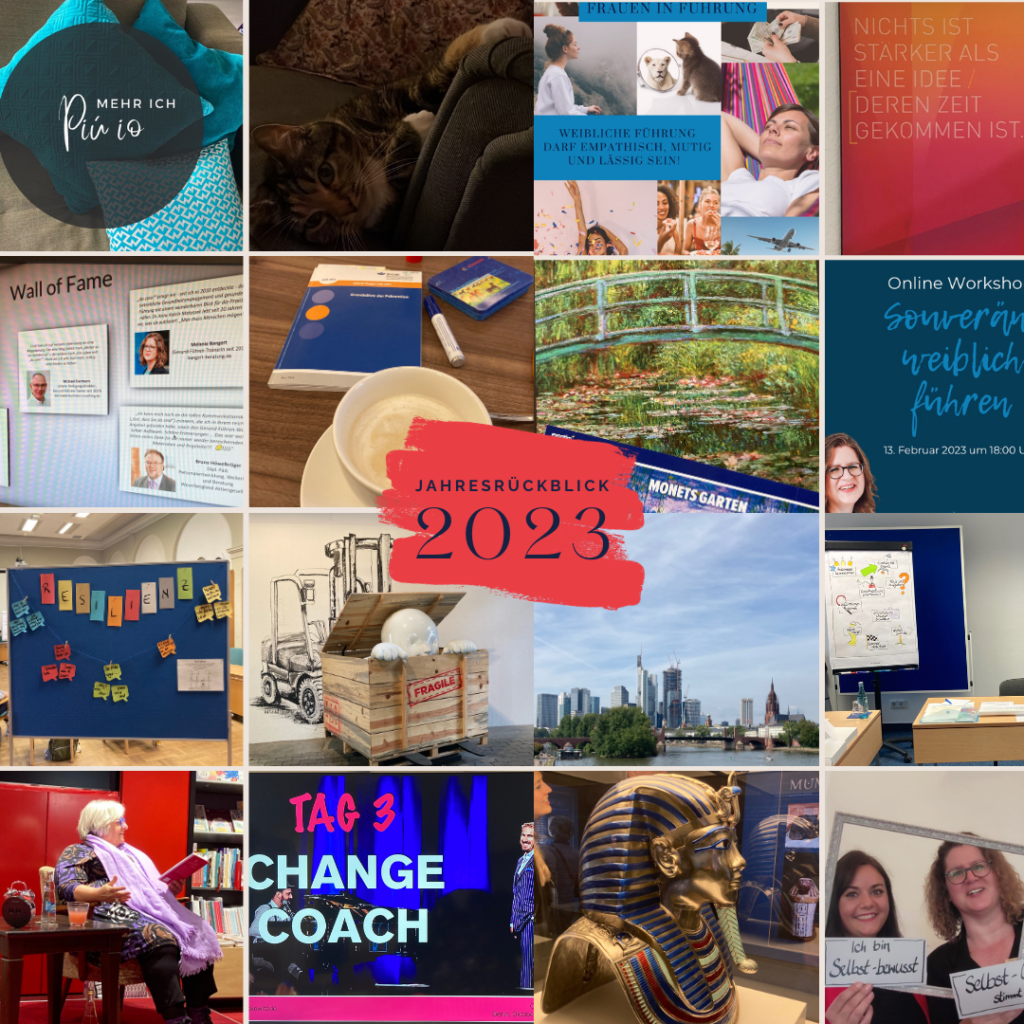 mehrere Fotos meiner Erlebnisse im Jahr 2023